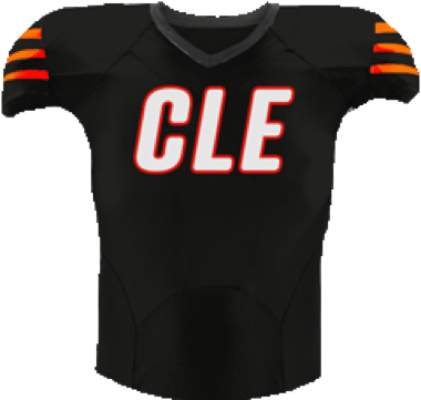 NFL jersey